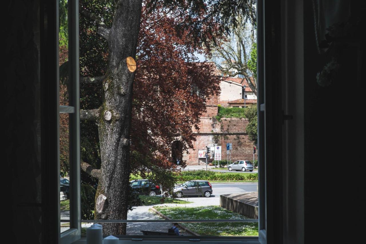Belvedere Luxury Apartment, View On The Lucca Walls Zewnętrze zdjęcie